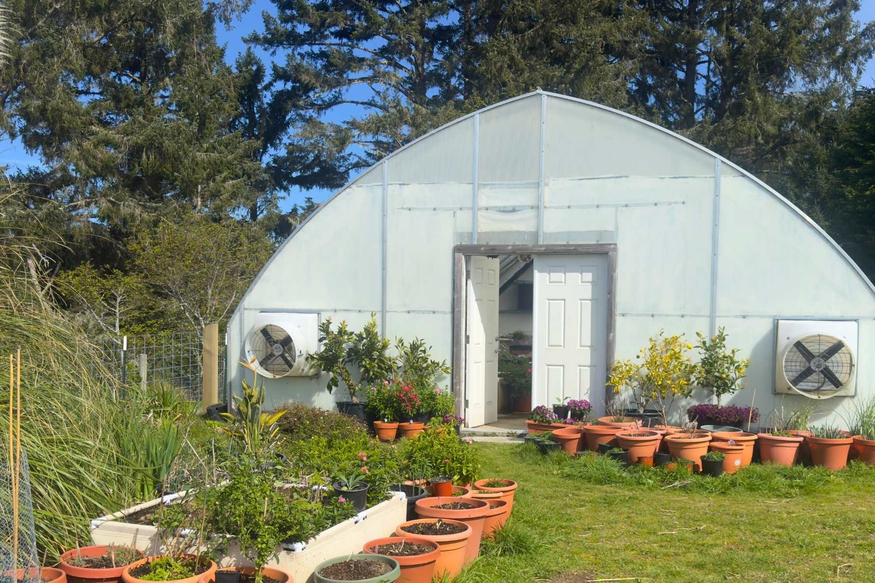 greenhouse gardening