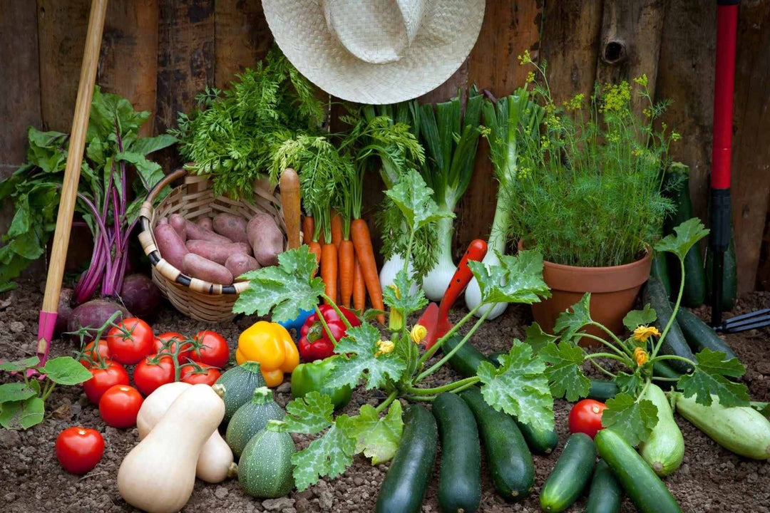 The Ultimate Guide to Growing a Thriving Vegetable Garden