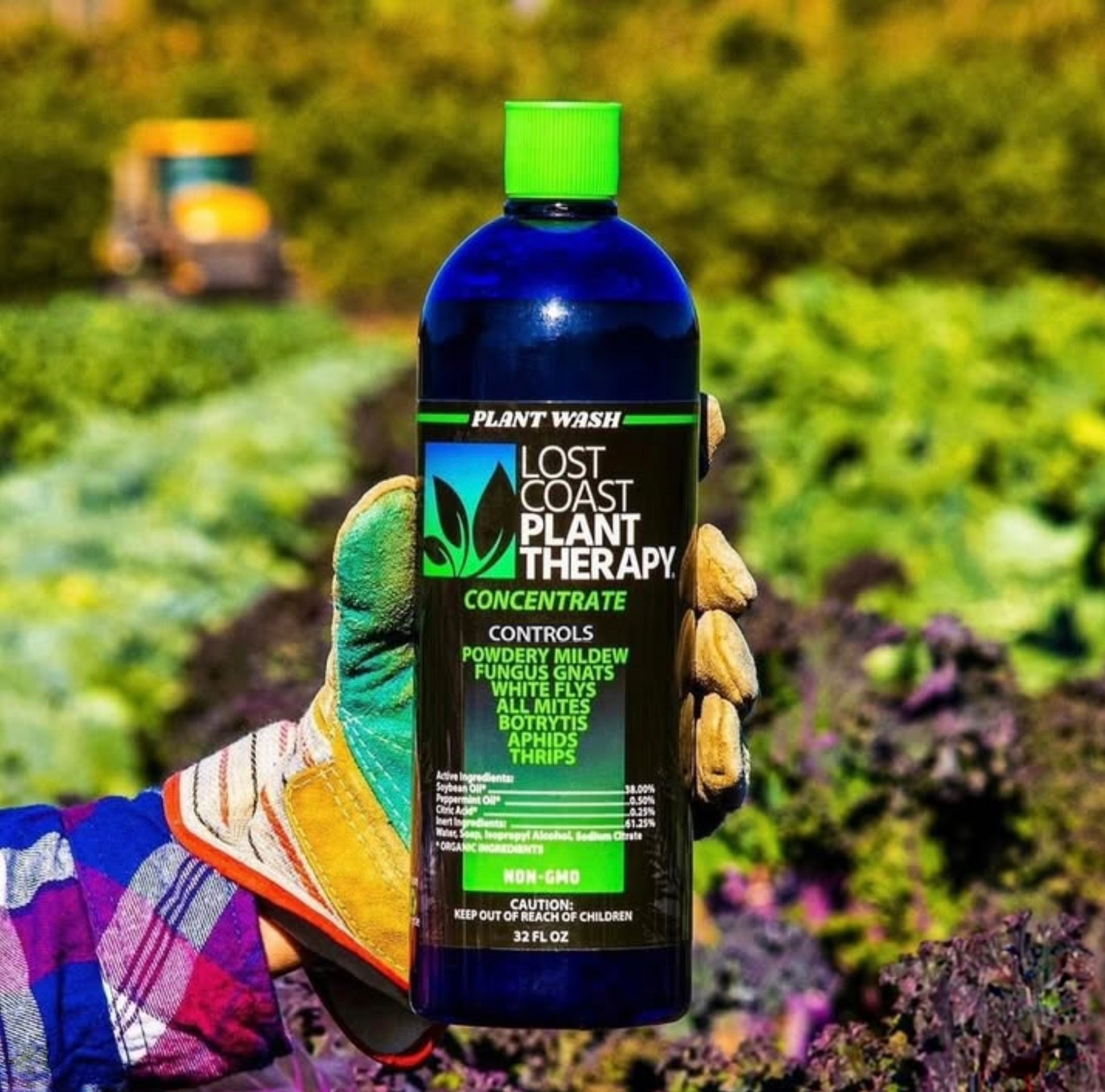 Lost Coast Plant Therapy