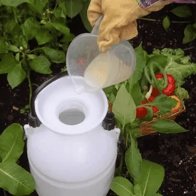 Shake the sprayer again before using