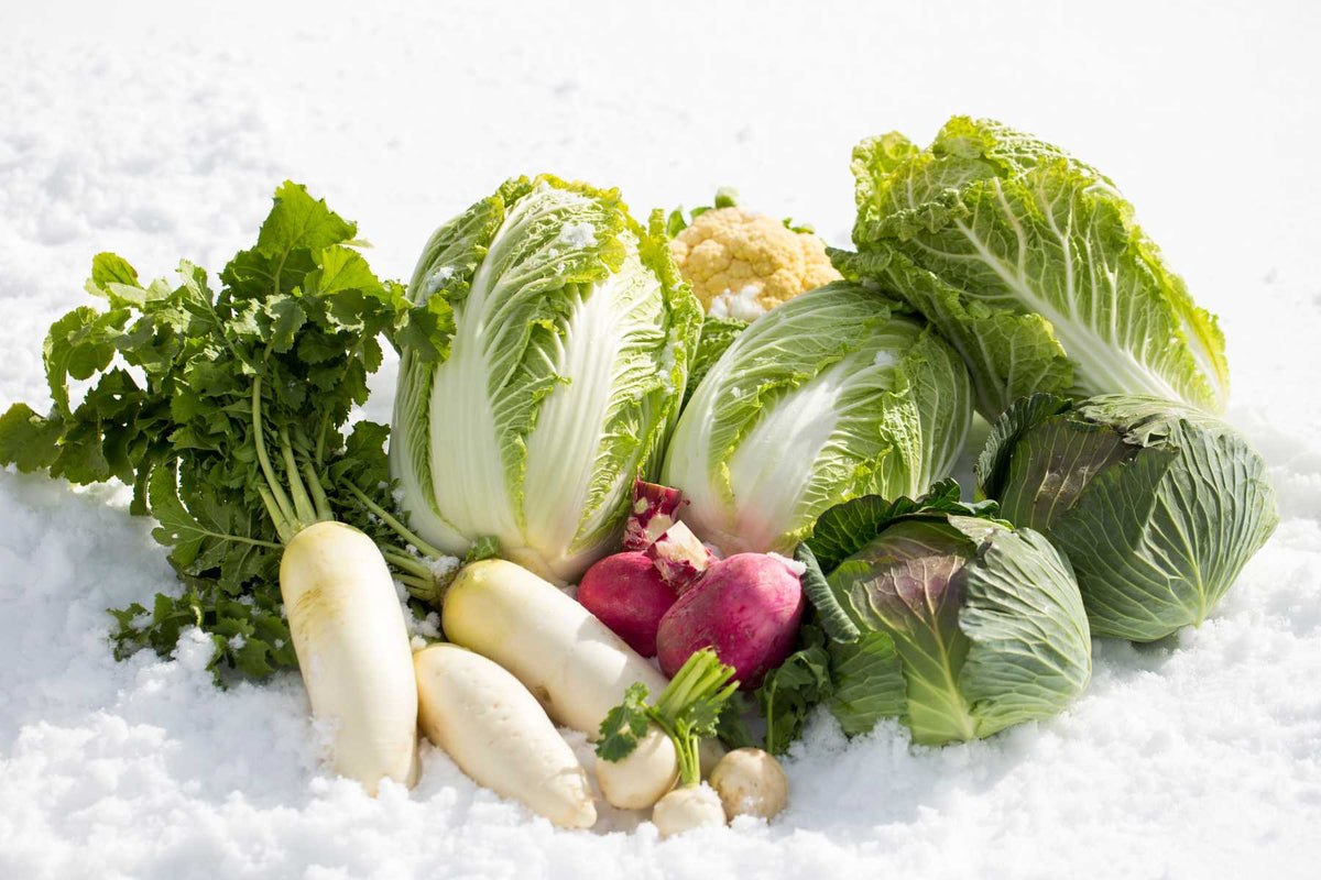 Tips for Planting Cold Weather Crops for Your Zone – Lost Coast Plant ...