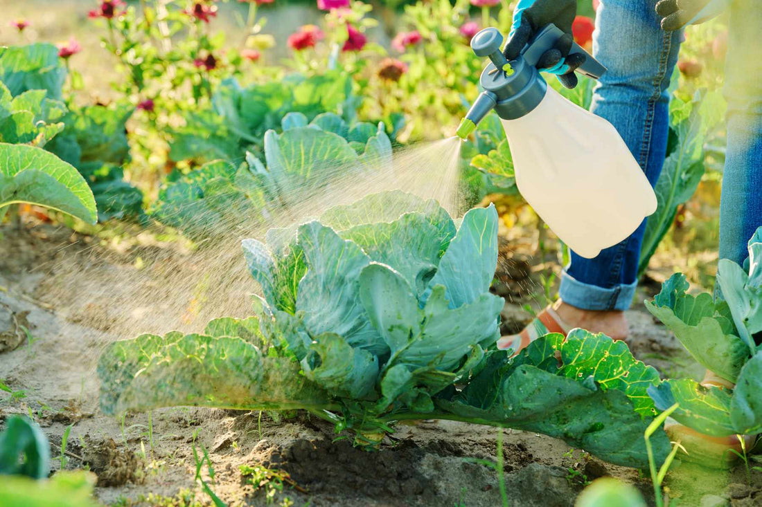 organic garden pest control