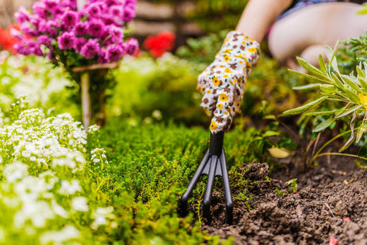 Seasonal Garden Maintenance: What to Do in Spring, Summer, Fall, and Winter – Lost Coast Plant Therapy
