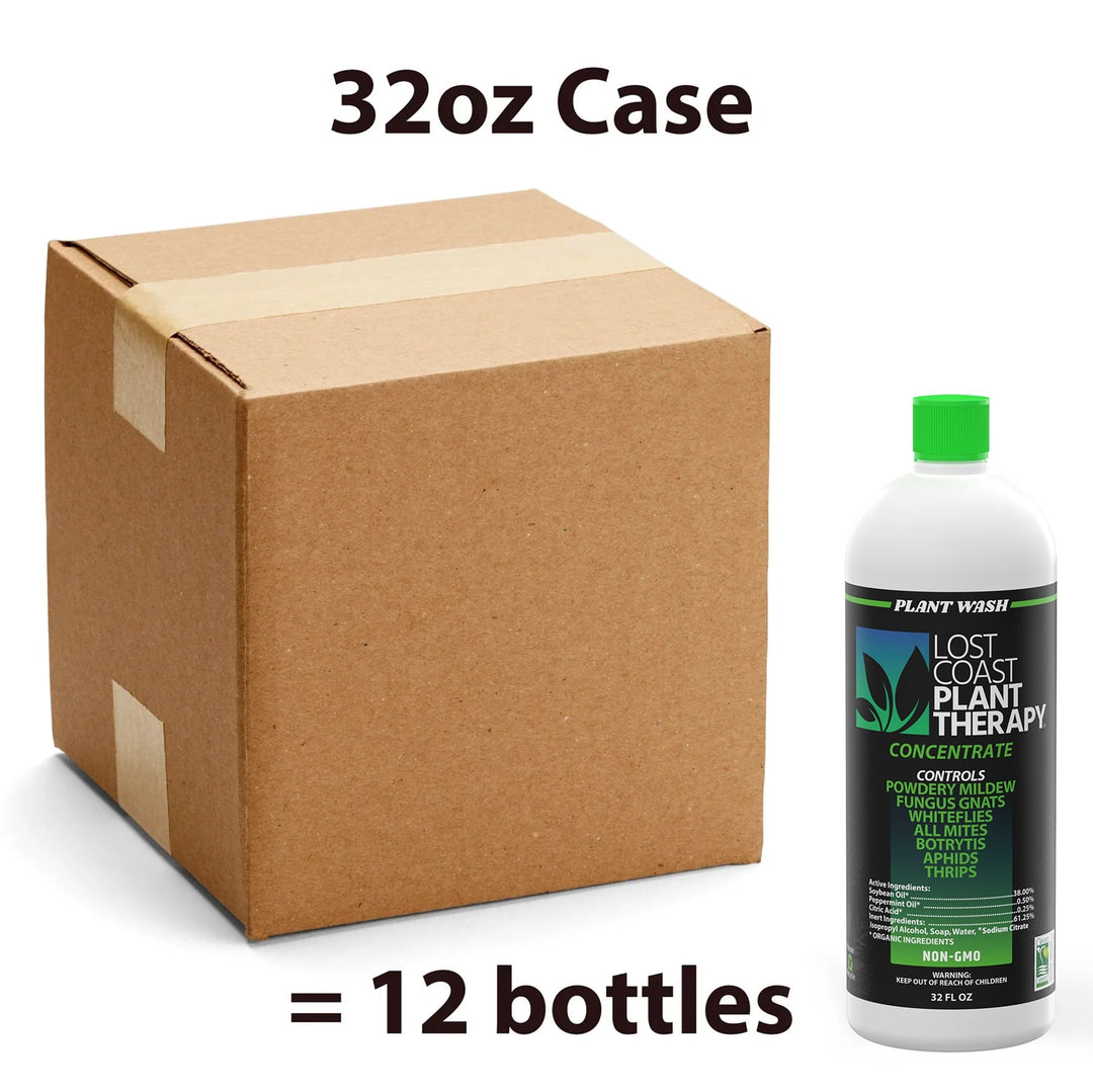 Wholesale 32oz Case
