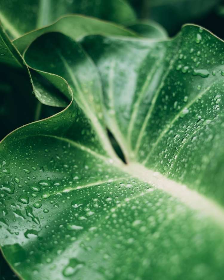 humidity