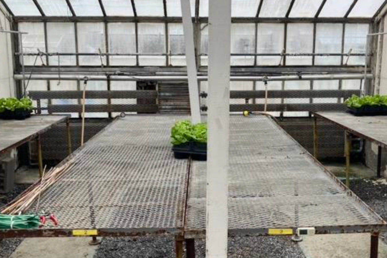 Cornell University trial results confirming that Lost Coast Plant Therapy is effective against powdery mildew and thrips