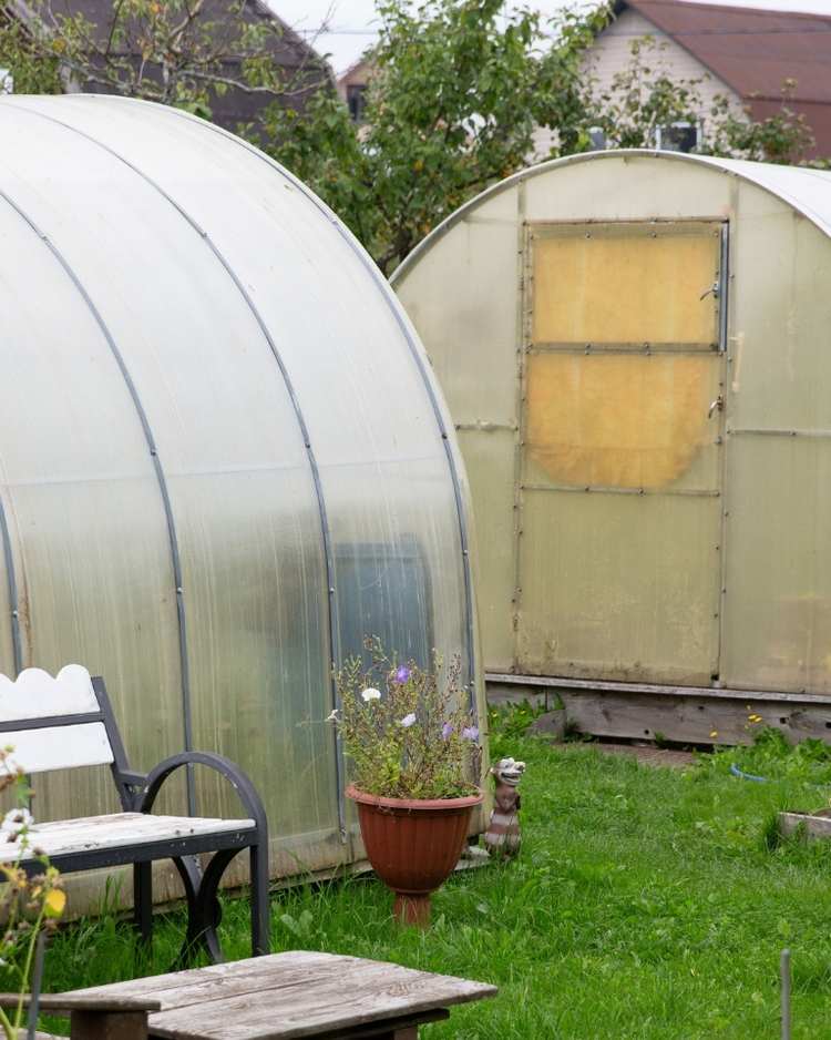 greenhouse growing