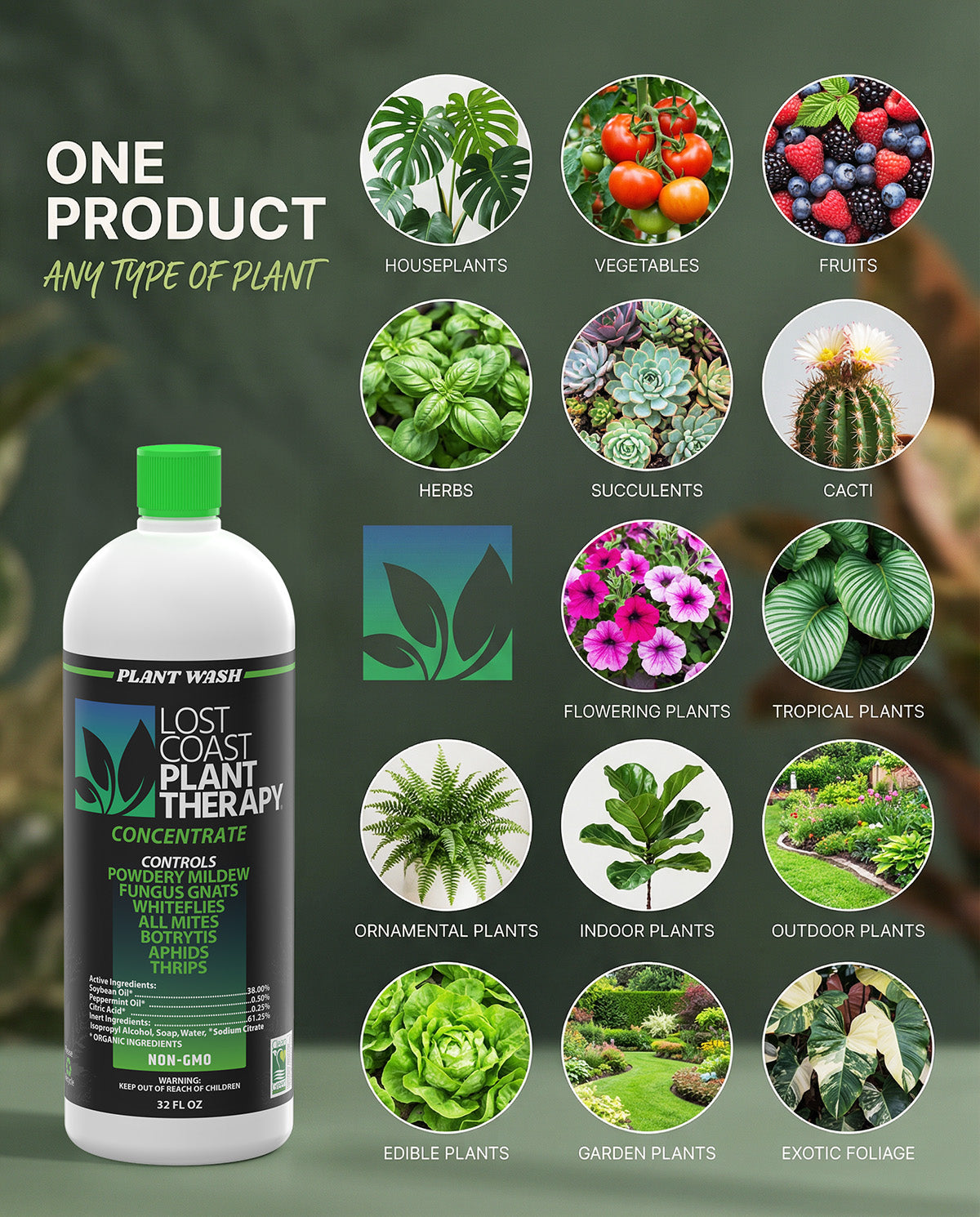 Lost Coast Plant Therapy gets rid of fungus gnats