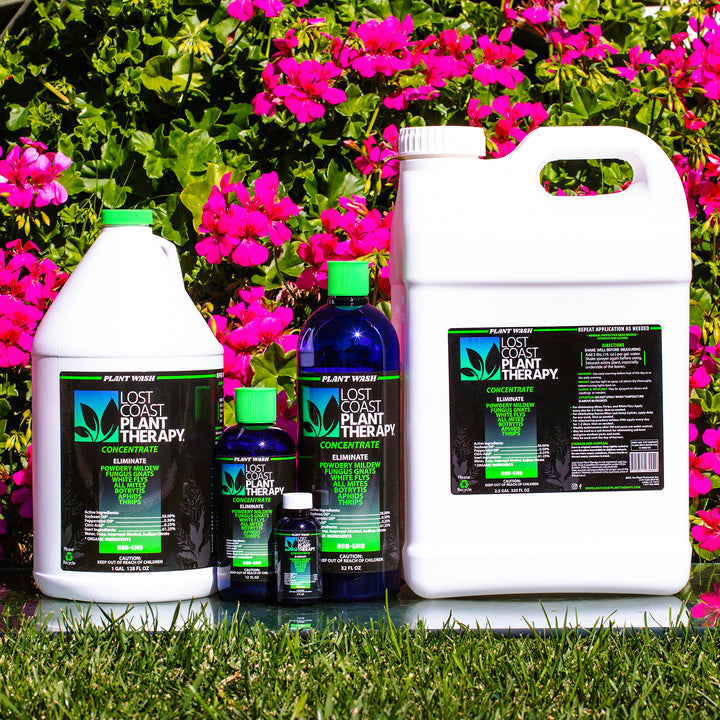 Lost Coast Plant Therapy (Case) Insecticides & Pesticides Insect & Disease  Control Garden Care