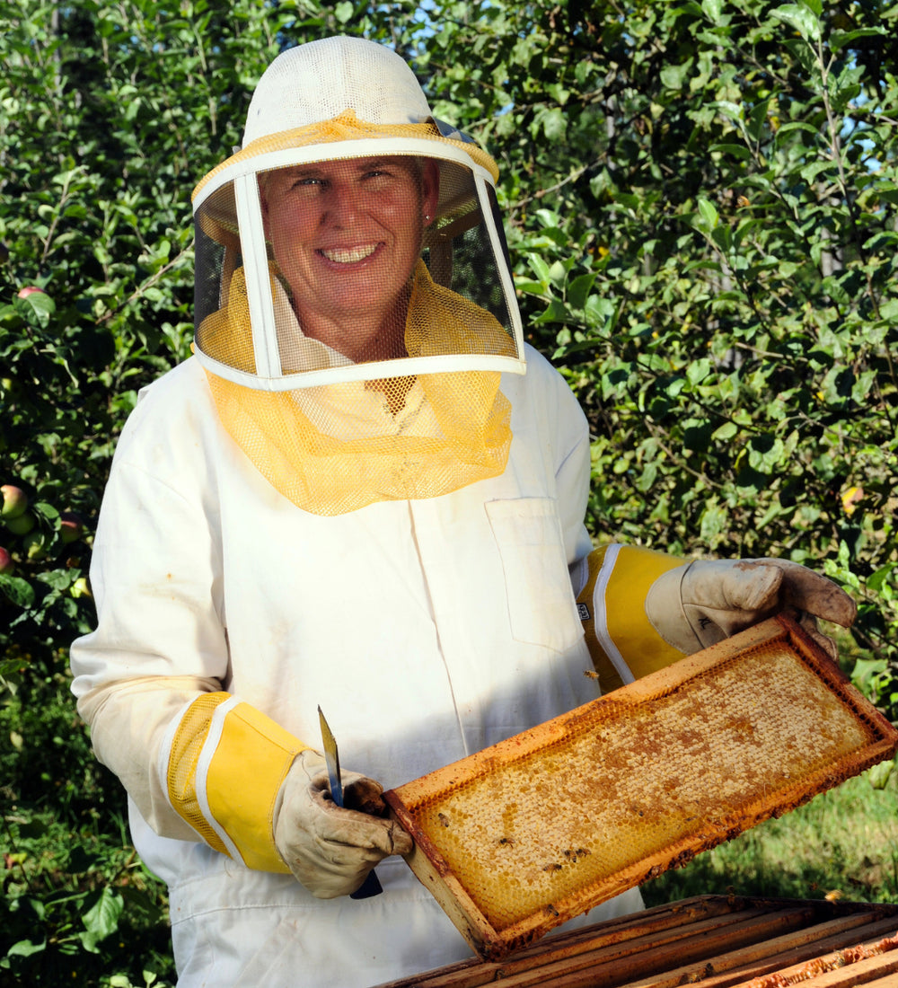Bees – Lost Coast Plant Therapy