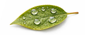 humidity