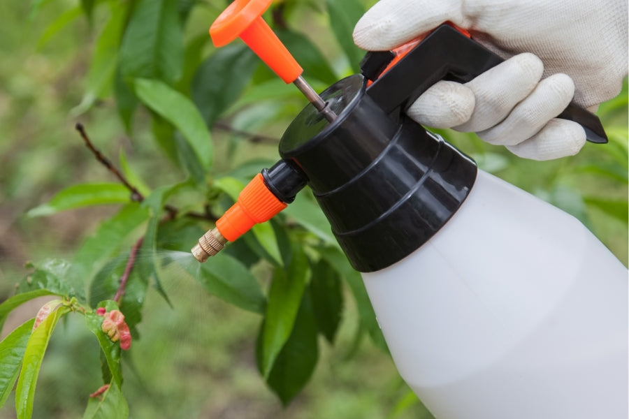 Cornell University trial results confirming that Lost Coast Plant Therapy is effective against powdery mildew and thrips