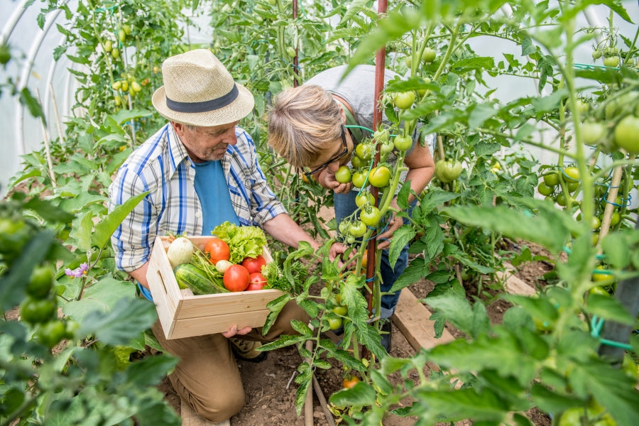 Cornell University trial results confirming that Lost Coast Plant Therapy is effective against powdery mildew and thrips