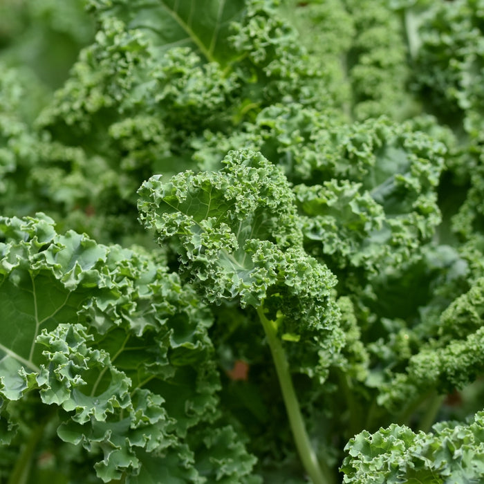 Kale and greens