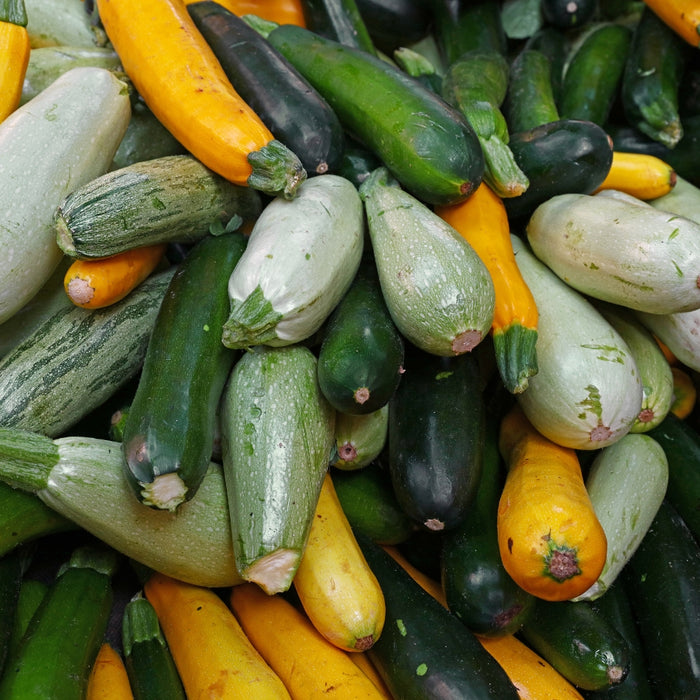 Squash and zucchini