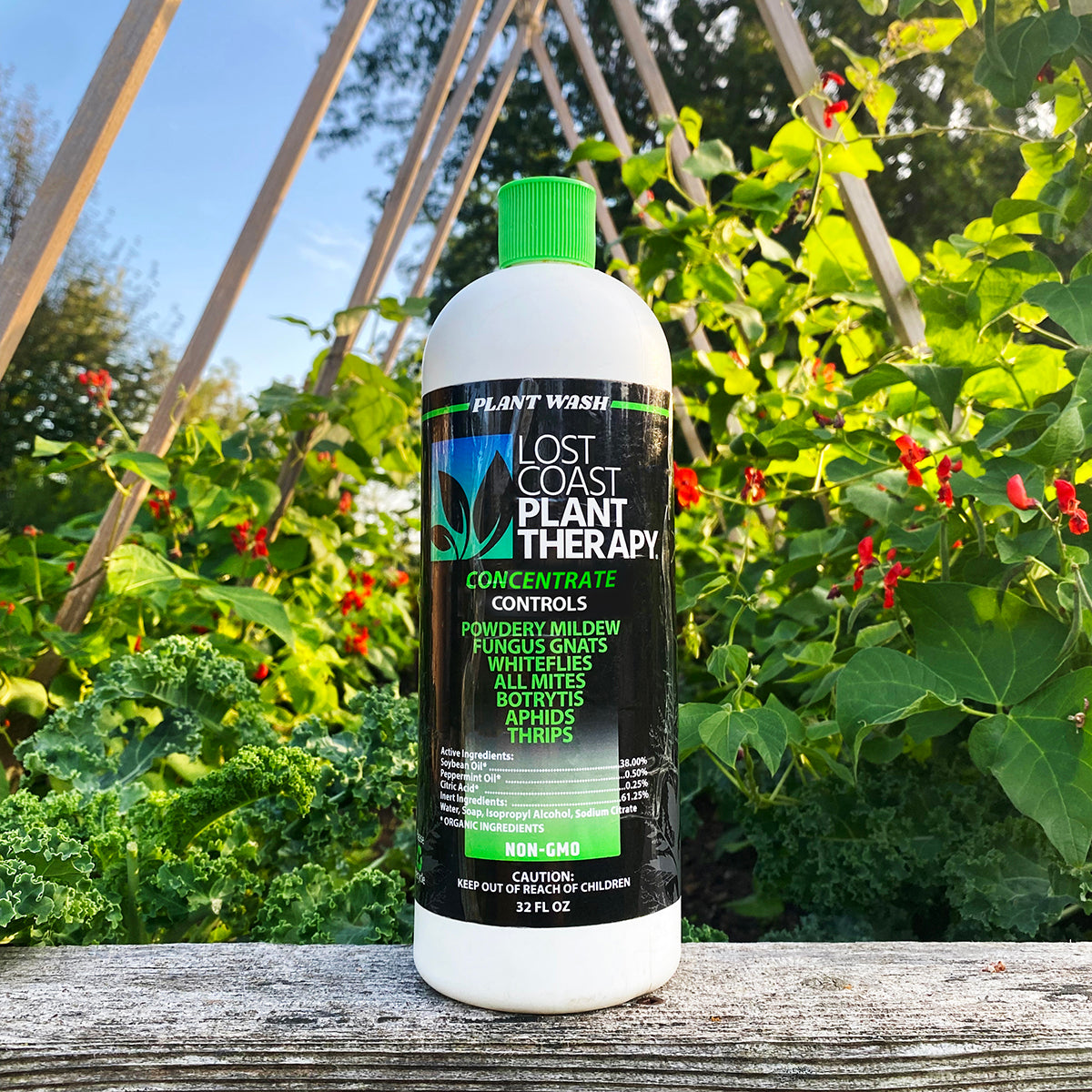 Cornell University trial results confirming that Lost Coast Plant Therapy is effective against powdery mildew and thrips