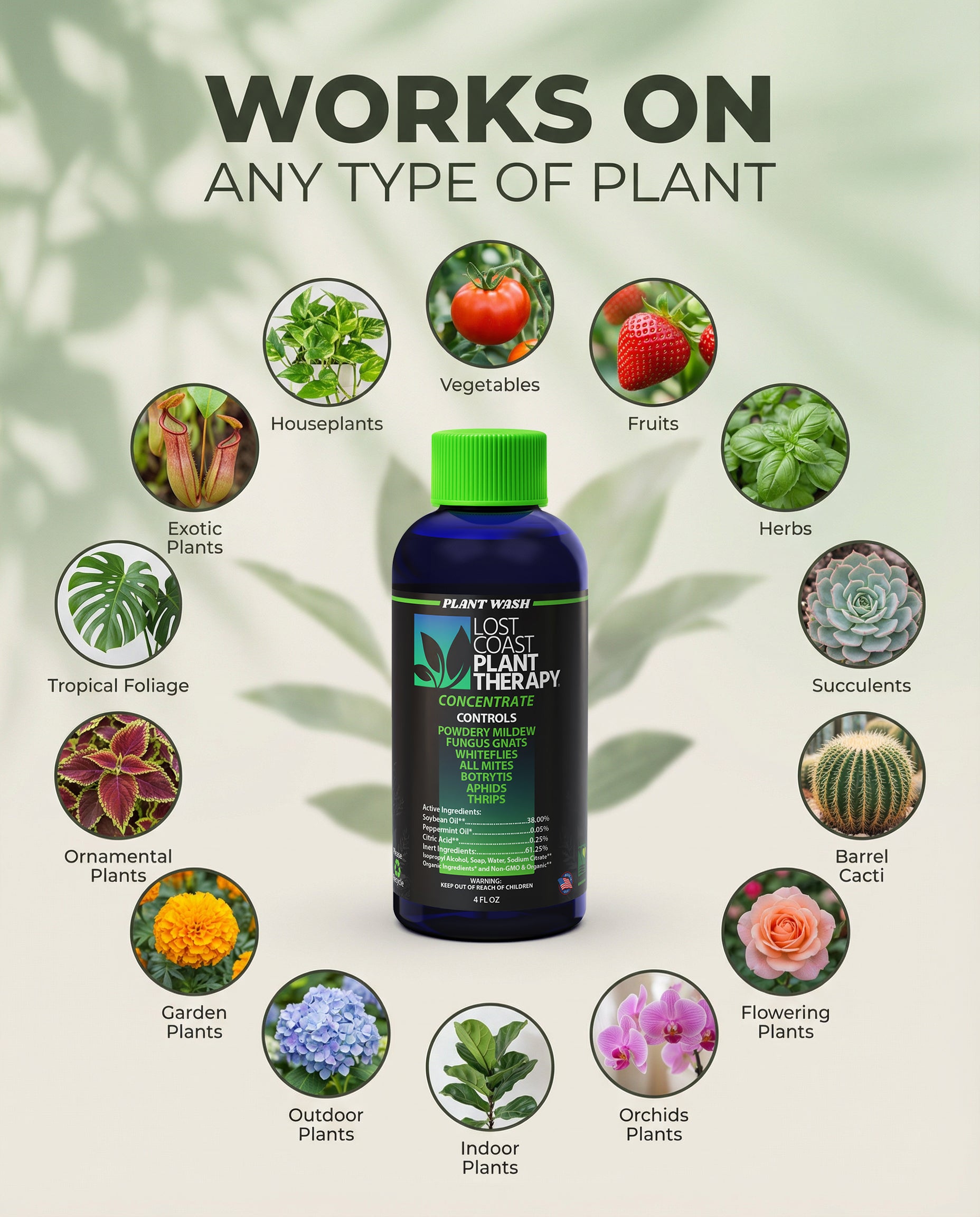 lost coast plant therapy works to control aphids on any type of plant