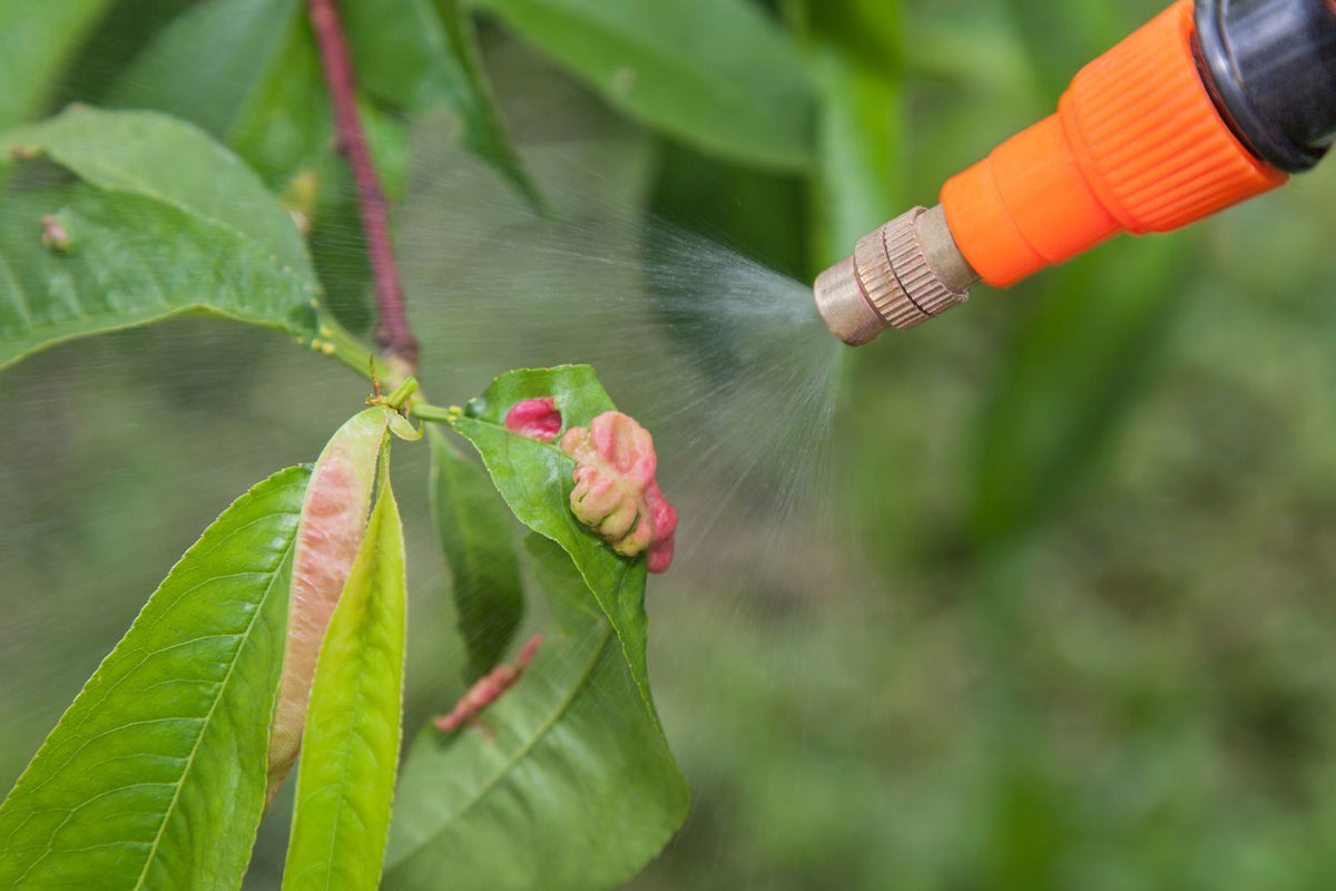 Thorough plant coverage during foliar application