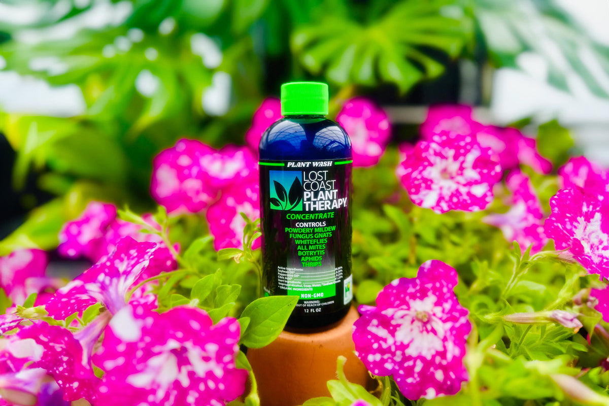 Ingredients – Lost Coast Plant Therapy