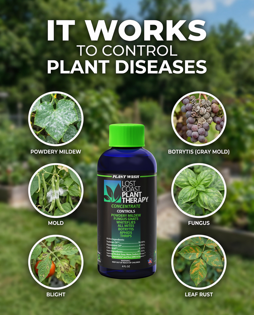 lost coast plant therapy controls botrytis