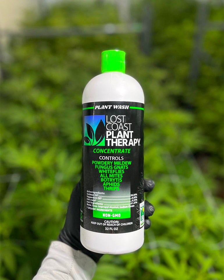 Lost Coast Plant Therapy Concentrate with cucumber plants