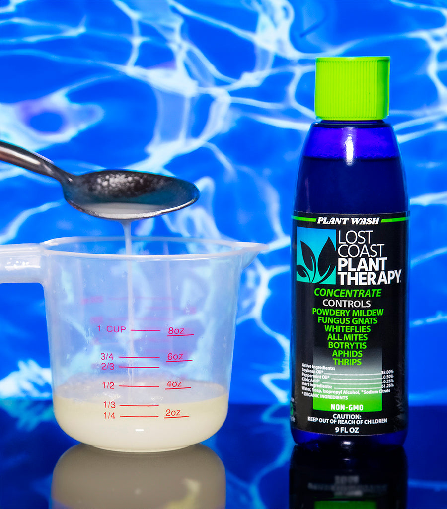 Lost Coast Plant Therapy