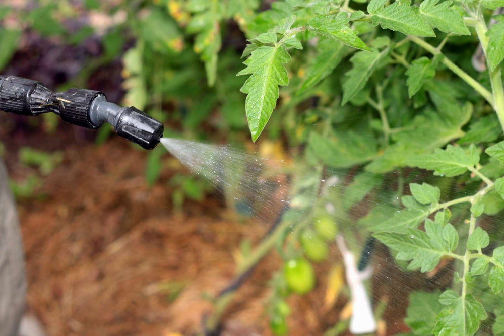 Mixing Lost Coast Plant Therapy Concentrate