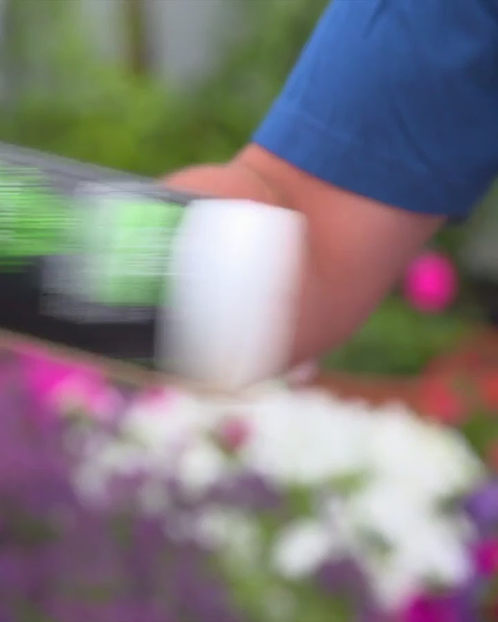 Load video: how to apply lost coast plant therapy