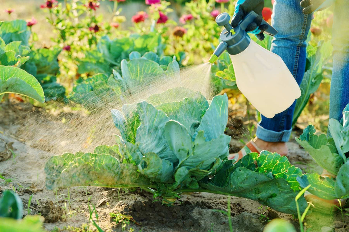 Thorough plant inspection followed by targeted foliar coverage