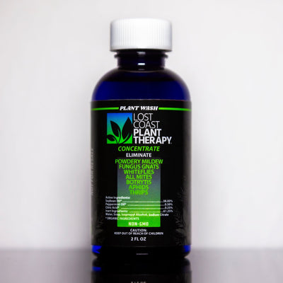 Free Sample