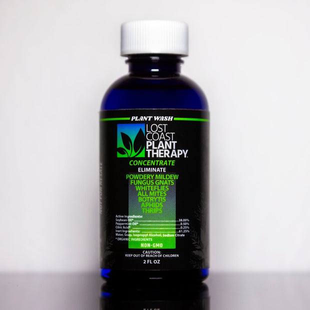 Free Sample