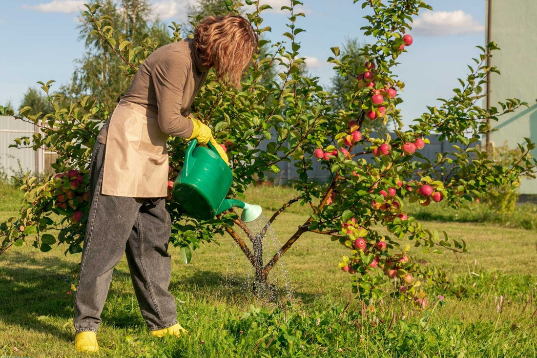 Kiwifruit, apples and stonefruit